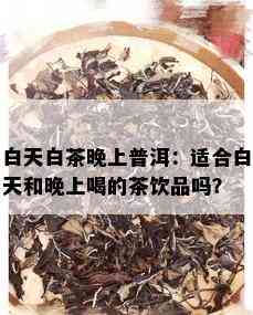 白天白茶晚上普洱：适合白天和晚上喝的茶饮品吗？