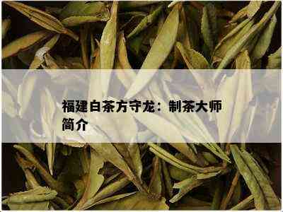 福建白茶方守龙：制茶大师简介