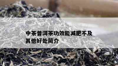 中茶普洱茶功效能减肥不及其他好处简介