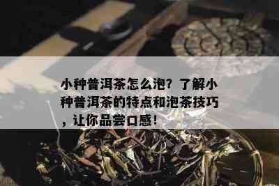 小种普洱茶怎么泡？了解小种普洱茶的特点和泡茶技巧，让你品尝口感！