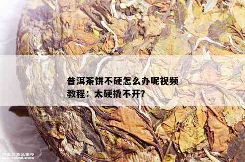 普洱茶饼不硬怎么办呢视频教程：太硬撬不开？