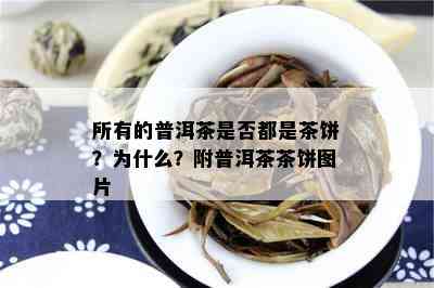 所有的普洱茶是否都是茶饼？为什么？附普洱茶茶饼图片