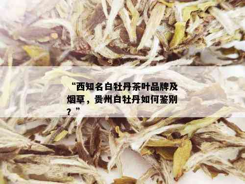 “西知名白牡丹茶叶品牌及草，贵州白牡丹如何鉴别？”