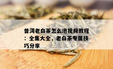 普洱老白茶怎么泡视频教程：全集大全，老白茶专属技巧分享