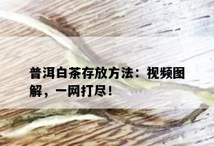 普洱白茶存放方法：视频图解，一网打尽！