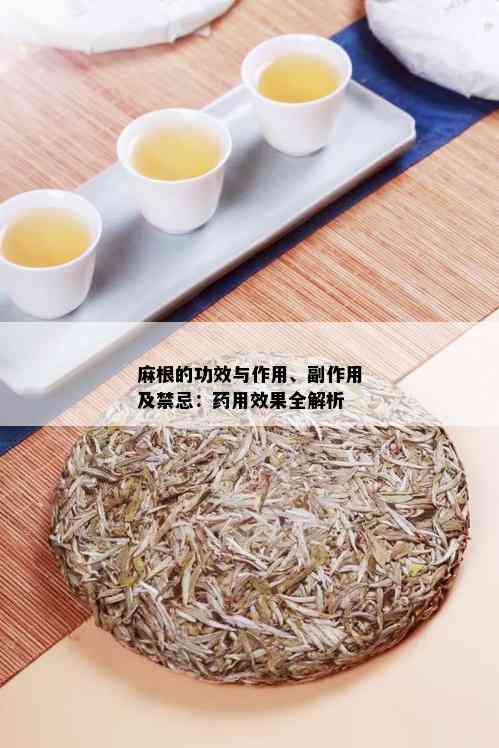 麻根的功效与作用、副作用及禁忌：用效果全解析