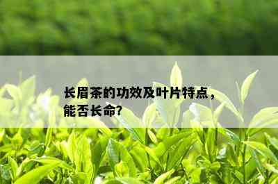 长眉茶的功效及叶片特点，能否长命？