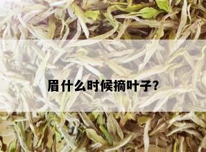 眉什么时候摘叶子？