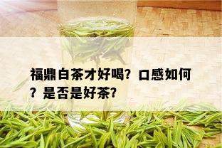 福鼎白茶才好喝？口感如何？是否是好茶？