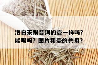 泡白茶跟普洱的壶一样吗？能喝吗？图片和壶的共用？