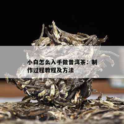 小白怎么入手做普洱茶：制作过程教程及方法