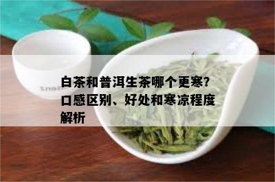 白茶和普洱生茶哪个更寒？口感区别、好处和寒凉程度解析