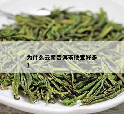 为什么云南普洱茶便宜好多？