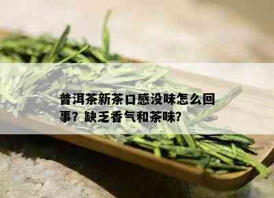 普洱茶新茶口感没味怎么回事？缺乏香气和茶味？