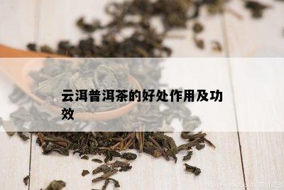 云洱普洱茶的好处作用及功效