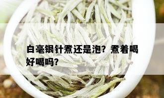 白毫银针煮还是泡？煮着喝好喝吗？