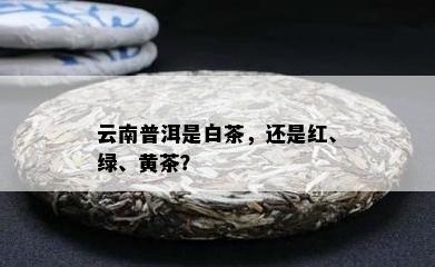 云南普洱是白茶，还是红、绿、黄茶？