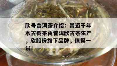 欣号普洱茶介绍：景迈千年木古树茶由普洱欣古茶生产，欣股份旗下品牌，值得一试！