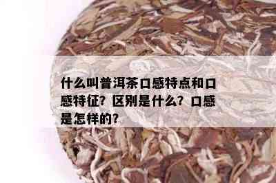 什么叫普洱茶口感特点和口感特征？区别是什么？口感是怎样的？