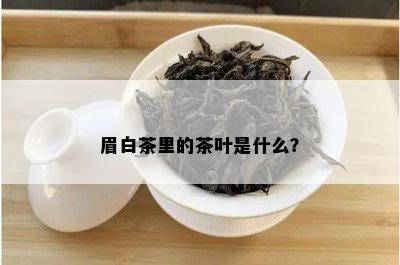 眉白茶里的茶叶是什么？