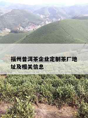 福州普洱茶企业定制茶厂地址及相关信息