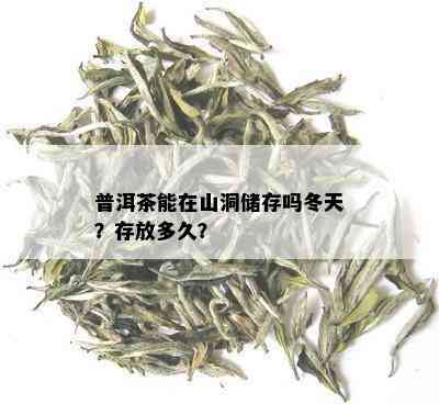 普洱茶能在山洞储存吗冬天？存放多久？