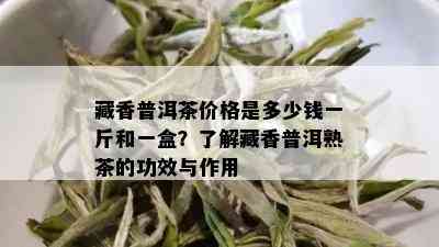 藏香普洱茶价格是多少钱一斤和一盒？了解藏香普洱熟茶的功效与作用