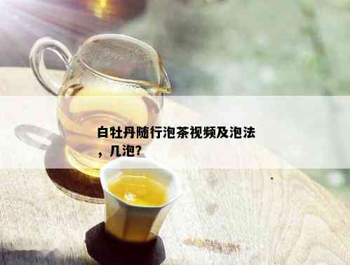 白牡丹随行泡茶视频及泡法，几泡？