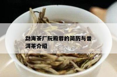 勐海茶厂阮殿蓉的简历与普洱茶介绍