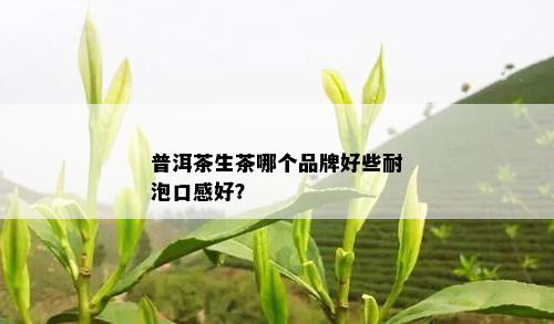 普洱茶生茶哪个品牌好些耐泡口感好？