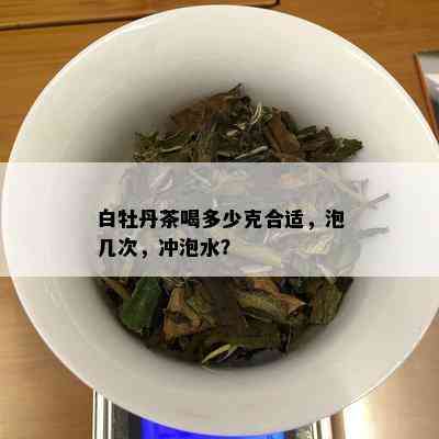 白牡丹茶喝多少克合适，泡几次，冲泡水？