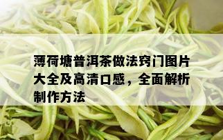 薄荷塘普洱茶做法窍门图片大全及高清口感，全面解析制作方法