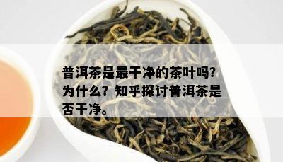 普洱茶是最干净的茶叶吗？为什么？知乎探讨普洱茶是否干净。