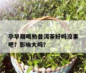 孕早期喝熟普洱茶好吗没事吧？影响大吗？