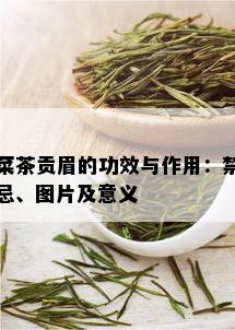 菜茶贡眉的功效与作用：禁忌、图片及意义