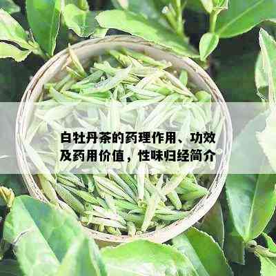 白牡丹茶的理作用、功效及用价值，性味归经简介