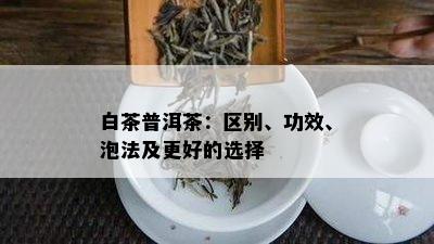 白茶普洱茶：区别、功效、泡法及更好的选择