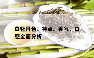 白牡丹色：特点、香气、口感全面分析