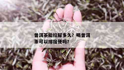 普洱茶能拉屎多久？喝普洱茶可以排宿便吗？