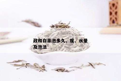 政和白茶泡多久、度、水量及泡法