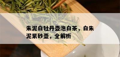 朱泥白牡丹壶泡白茶，白朱泥紫砂壶，全解析