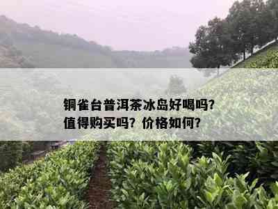 铜雀台普洱茶冰岛好喝吗？值得购买吗？价格如何？