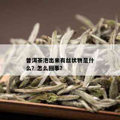 普洱茶泡出来有丝状物是什么？怎么回事？