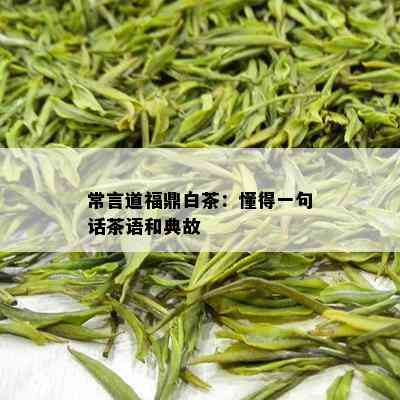 常言道福鼎白茶：懂得一句话茶语和典故