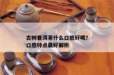 古树普洱茶什么口感好喝？口感特点更好解析