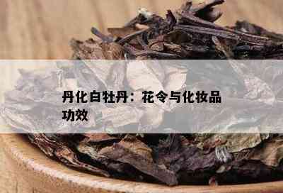 丹化白牡丹：花令与化妆品功效