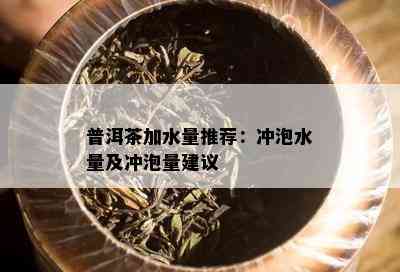 普洱茶加水量推荐：冲泡水量及冲泡量建议