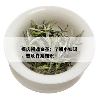 探店福鼎白茶：了解小知识，普及白茶知识！