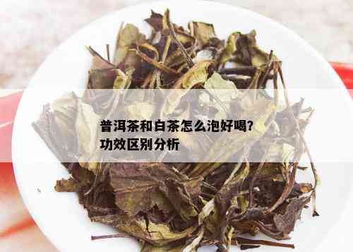 普洱茶和白茶怎么泡好喝？功效区别分析