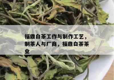 福鼎白茶工作与制作工艺，制茶人与厂商，福鼎白茶茶业